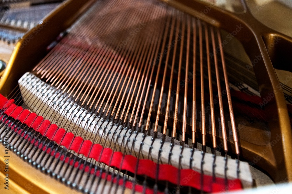 Internal structure of grand piano Internal structure of grand piano