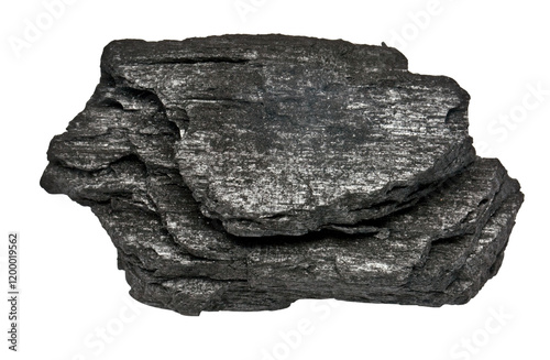Quadro su tela wood coal isolated