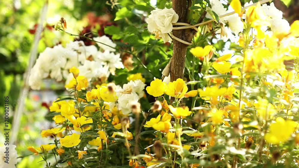 flores de campo amarillas