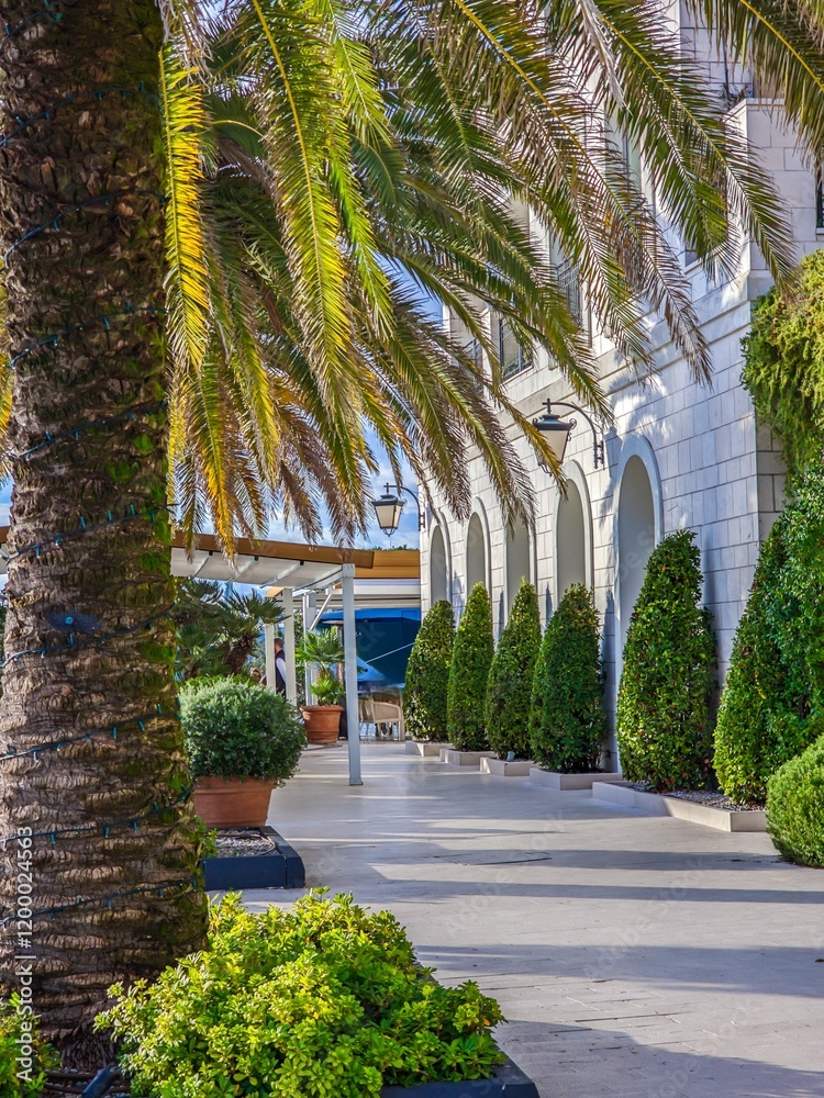 Obraz premium Beautiful tropical wallpaper. White stone embankment with palm trees, modern luxury architecture and large yachts in the background. Welfare and travel. Soft focus and beautiful bokeh.