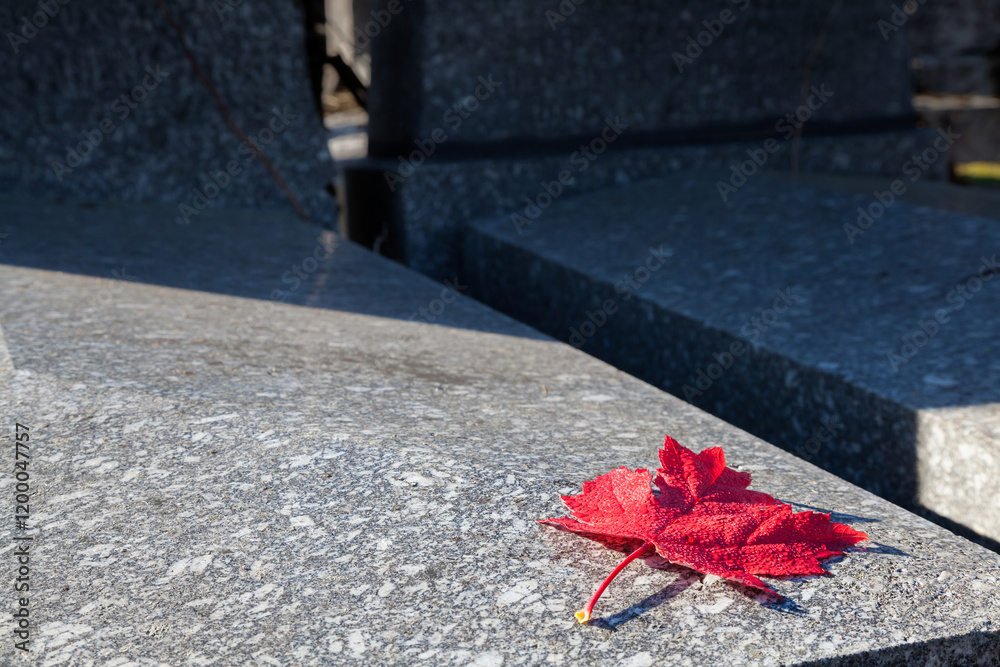 FEUILLE MORTE AVEC ROSÉE DU MATIN POSÉE SUR UNE TOMBE