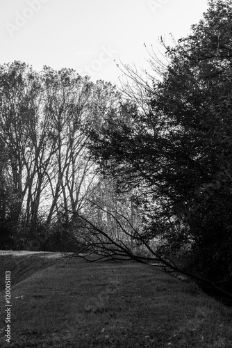 Scorci in bianco e nero