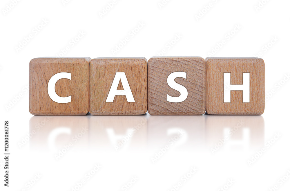 Wooden cubes with the inscription CASH on a white background.