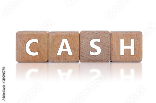 Obraz na płótnie Wooden cubes with the inscription CASH on a white background. w salonie