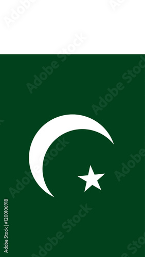 Vertical Flag of Pakistan, 9:16 Format, Vertical Pakistan Flag, Vector Images