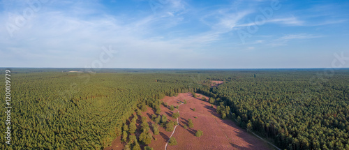 Obraz na płótnie Aerial view of heather fields on the Misselhorn Heath, Sudheide Nature Park w salonie