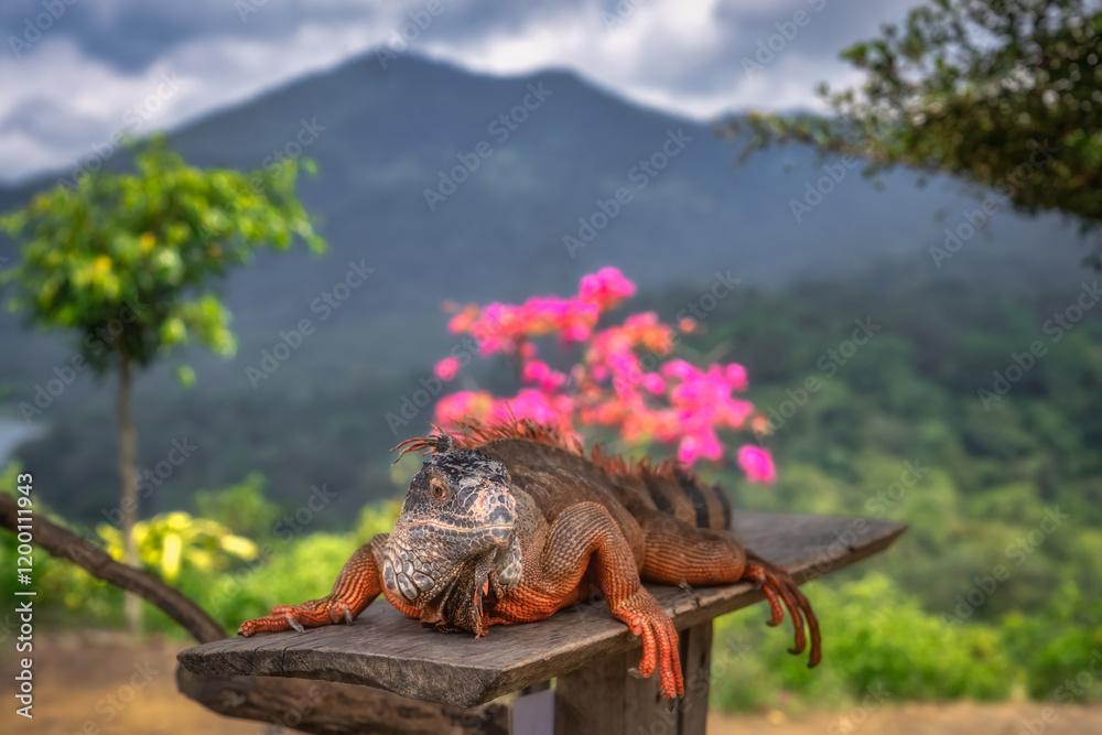 A green iguana rests on weathered wood, surrounded by colorful flowers and towering mountains, creating a soothing, picturesque natural scene full of life, Bali, Indonesia
