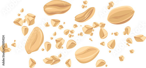Peanuts. For design projects, food packaging, advertising, or creating educational materials, ideal for use in food-related branding, health-conscious products, or culinary-themed artwork