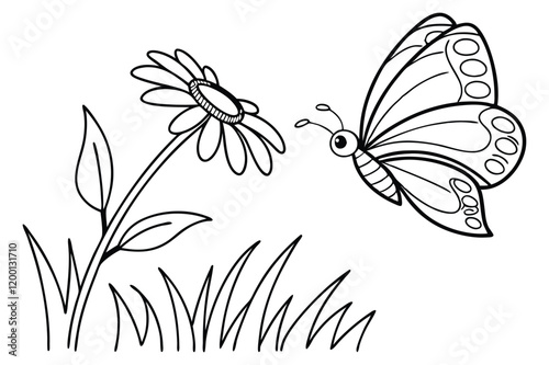 Butterfly line drawing