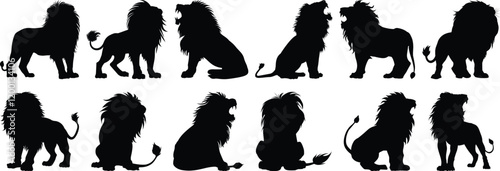 Lion silhouette set vector design big pack of animal illustration and icon
