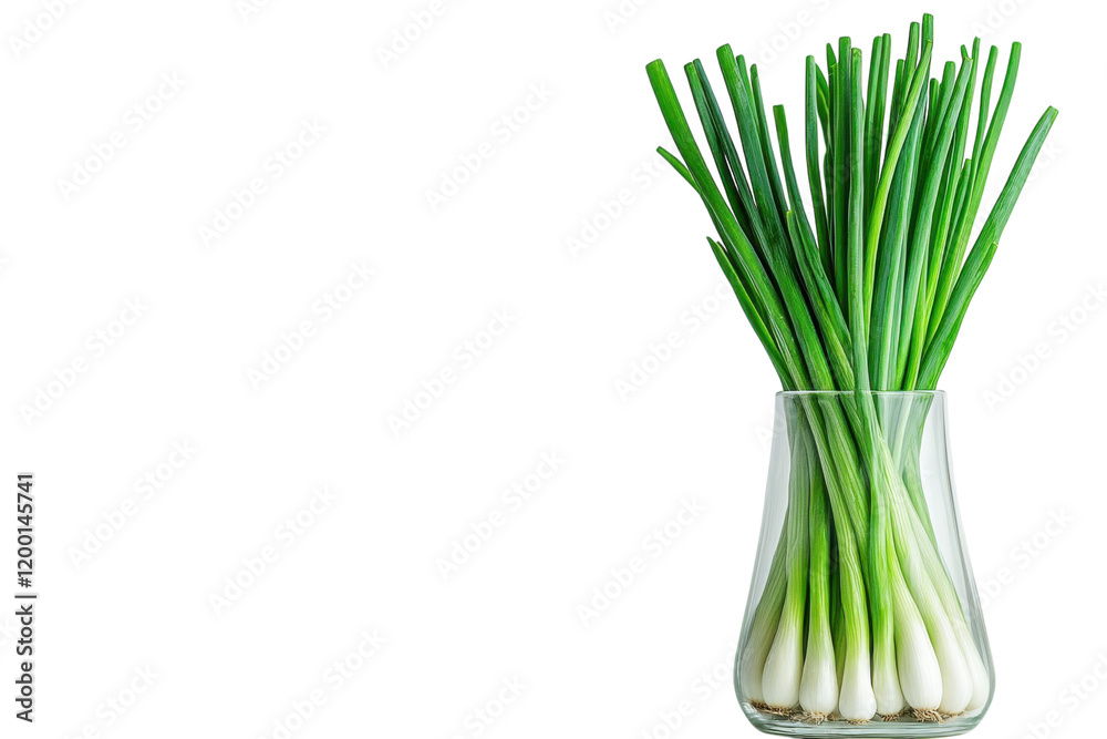 Fresh green onions displayed in a clear glass vase on a bright surface