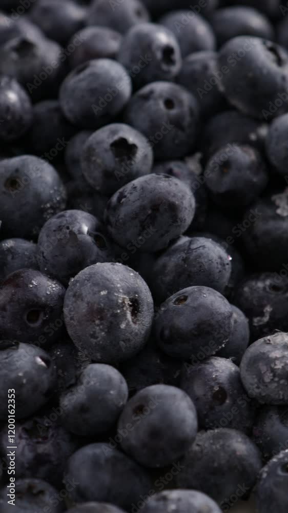 close up of frozen summer blueberry food rotation