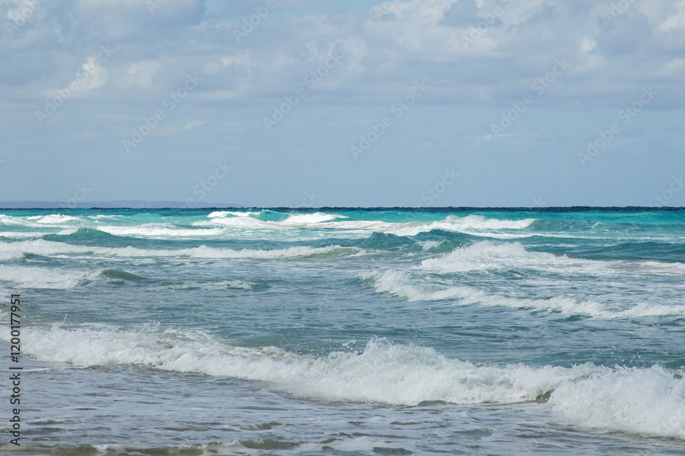 Scenic Turquoise Water Waves of the Caribbean Sea Scenic Turquoise Water Waves of the Caribbean Sea