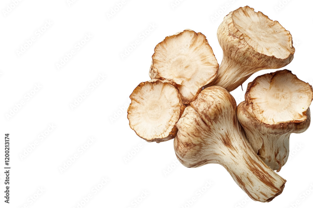 Delicate and fresh mushrooms displayed on a white background, perfect for culinary use or rustic decoration Delicate and fresh mushrooms displayed on a white background, perfect for culinary use or rustic decoration