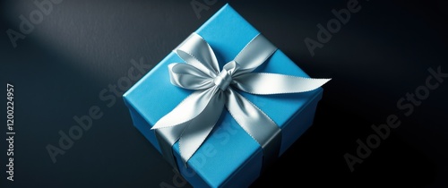A beautifully wrapped gift, a perfect present for any occasion.  The light blue box with a silver ribbon adds elegance and sophistication.