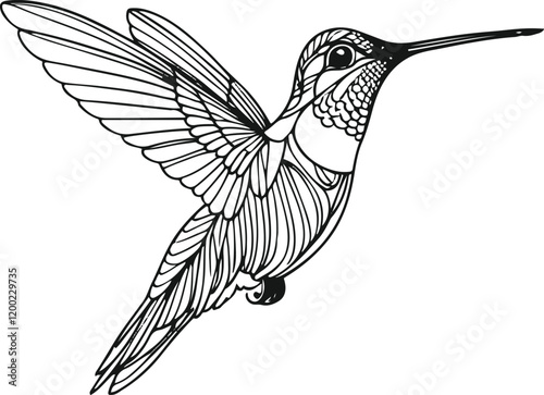 only line art in a bold line of a Humming Bird Continuous line art vector with no color background 6.eps