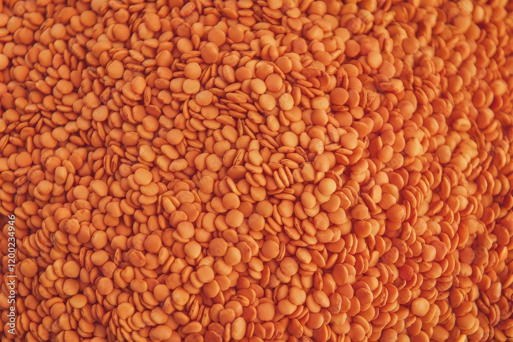 Nahaufnahme von leuchtend orangefarbenen Linsen Nahaufnahme von leuchtend orangefarbenen Linsen