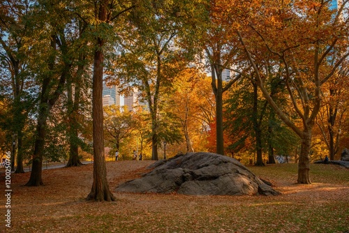 An autumn scene in Central Park with trees shedding leaves and city buildings peeking through, in New York City