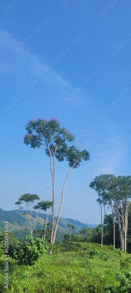Naturaleza: impactante azul