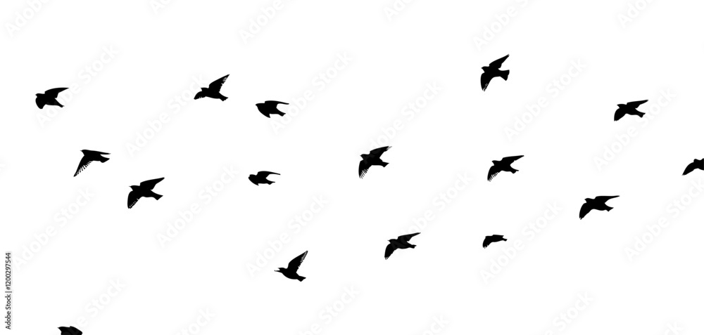 Flying birds silhouette flock. hand drawing. Not AI. Vector illustration. Flying birds silhouette flock. hand drawing. Not AI. Vector illustration.