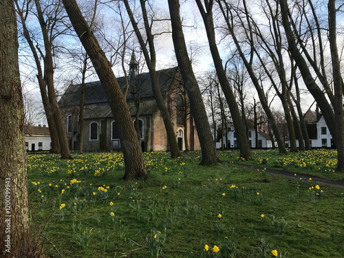 Begijnhofkerk Sint Elisabeth (St. Elisabeth Church), Bruges, Belgium