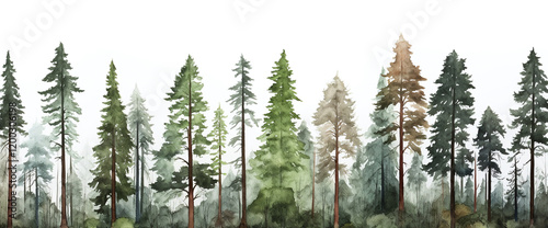 Watercolor Forest Scene photo