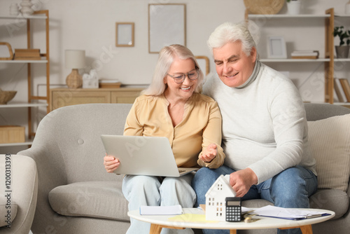 Senior couple with laptop c...