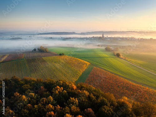 Foggy Sunrise Over Vineyards in South Limburg, Netherlands