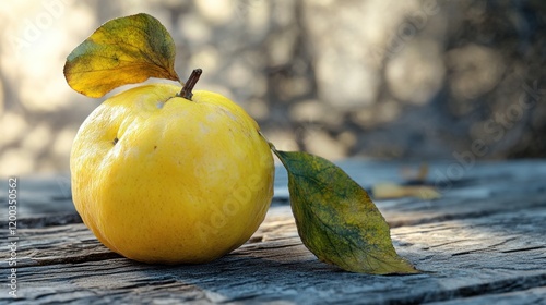 Ripe quince fruit with autumn leaves on rustic wood.