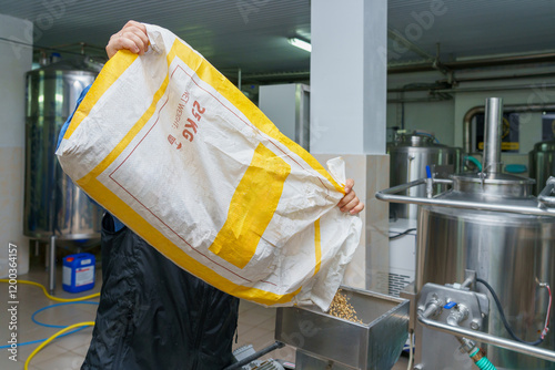 Caucasian male adult brewing process: pouring grain in industrial brewery setting photo