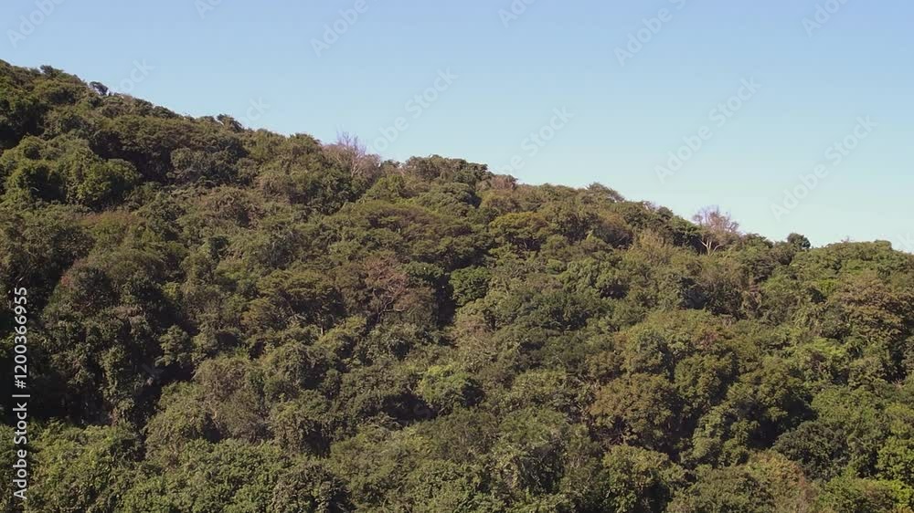 view of a piece of the Atlantic forest in Rio de Janeiro. view of a piece of the Atlantic forest in Rio de Janeiro.