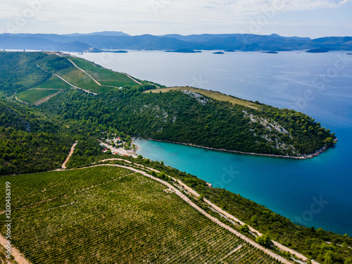 Southern Croatia vineyards and Adriatic coastline near Kremena and Komarna, showcasing scenic rolling hills and lush vineyards photo
