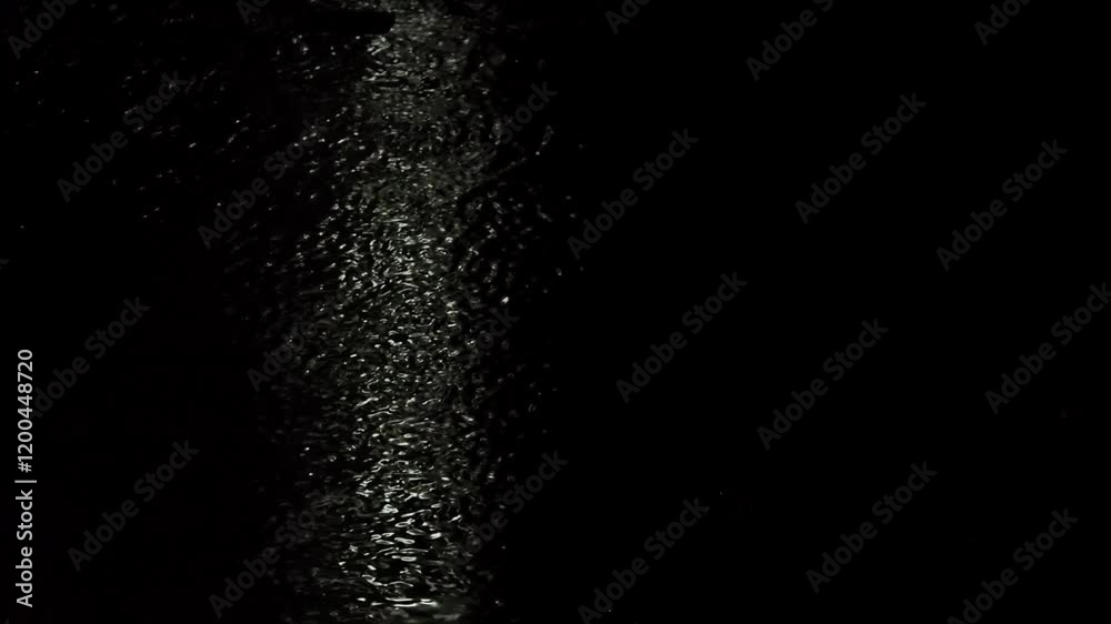Tokyo,Japan - January 17, 2025: Ducks on a frozen pond at winter night Tokyo,Japan - January 17, 2025: Ducks on a frozen pond at winter night