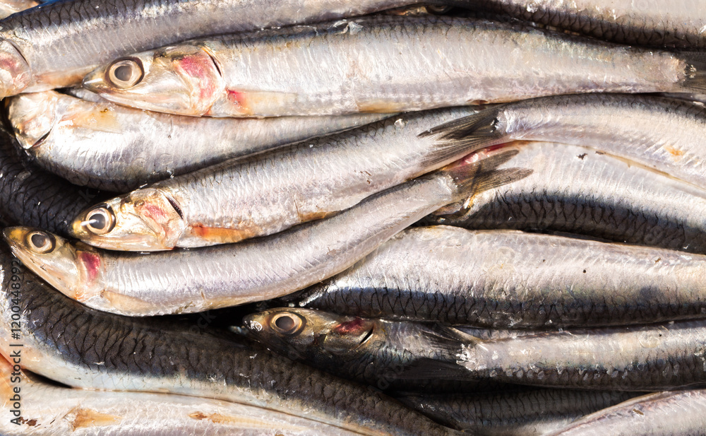 Fototapeta premium Close up of fresh anchovies on wooden board