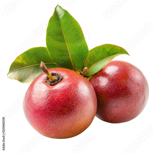Longkong langsart fruit with green leaves displayed against a crisp transparent background for visual appeal, Longkong langsart fruit with leaf isolated on transparent background photo
