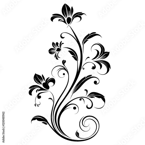 black ornament illustration curves simple for photo on white background
