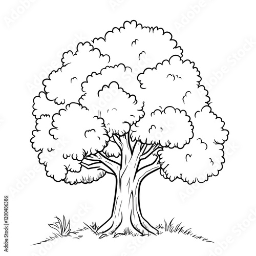 Outline art for a tree simple coloring page black and white outline page with white background sketch style full body for a tree only use outline mandala style clea photo