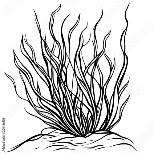 simple and easytocolor drawing for children featuring a seagrass The image should have thick black outlines and minimal details Ensure the design is clear with plen