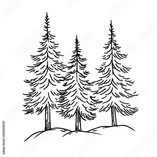 simple outline drawing of some evergreen trees as a background image minimalist on a white background