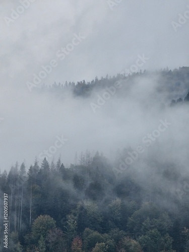 Clouds and Mist in the Hills in Ukraine