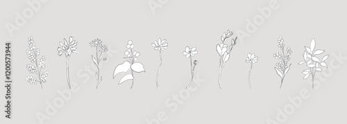 植物の線画イラスト。植物のベクターポストカードテンプレート。草木と花の線画シンプル背景。Line drawing illustration of plants. Plants vector postcard template. Line drawing simple background of plants and flowers.