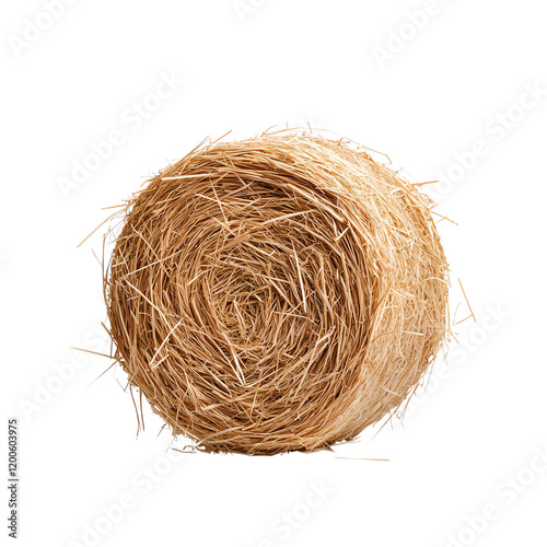 Close-up of a round hay bale, showcasing the intricate texture of straw. Perfect for agricultural themes and rural life. Captures the essence of harvest season. photo