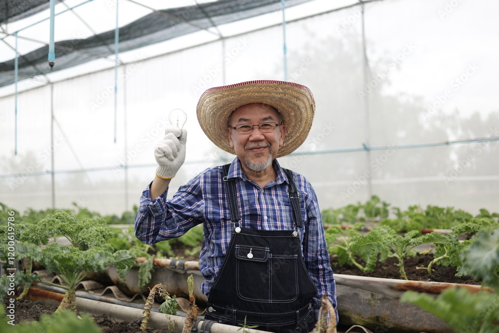 Obraz premium Portrait of an Asian older senior male gardener standing and smiling in his greenhouse vegetable farm with pleasure and cheerful