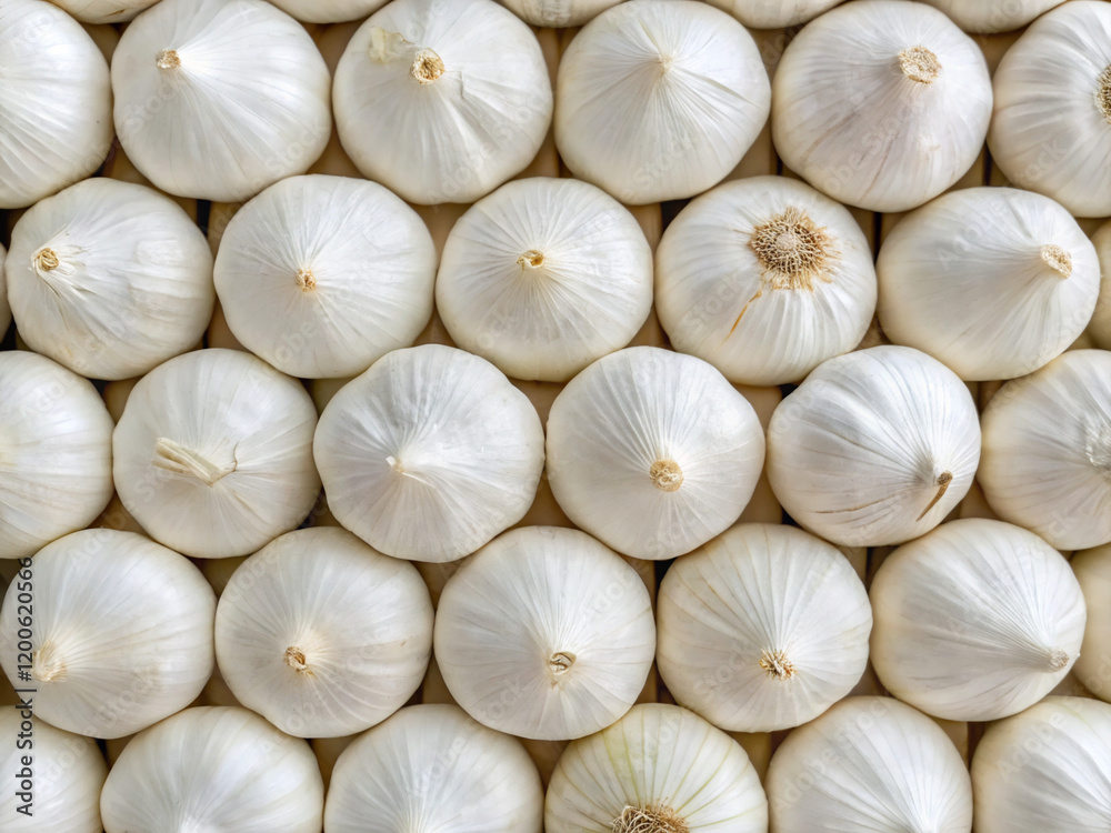 close up of garlic, background, garlic, food, vegetable, white, spice, ingredient, fresh, bulb, healthy, market, organic, isolated, cooking, raw, onion, clove, agriculture, nutrition, natural, vegetar close up of garlic, background, garlic, food, vegetable, white, spice, ingredient, fresh, bulb, healthy, market, organic, isolated, cooking, raw, onion, clove, agriculture, nutrition, natural, vegetar
