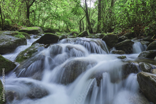 Long exposure and summer view of waterfall with moss on the rock amid green forest at Sangdong Moss Valley of Taebaeksan Mountain near Yeongwol-gun, South Korea photo