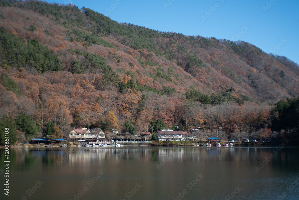 Obraz premium 紅葉に包まれた湖畔のキャンプ場