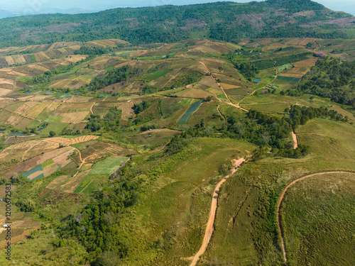 Aerial view of a lush forest with vibrant pink blossoms under a bright blue sky. The scenic landscape features rolling hills and distant mountains evoking a sense of tranquility and natural beauty photo