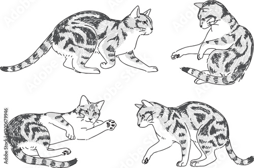 遊んでいるネコの手描きイラストセット