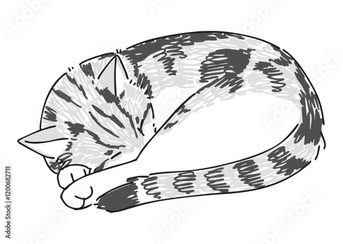 眠っているネコの手描きイラスト