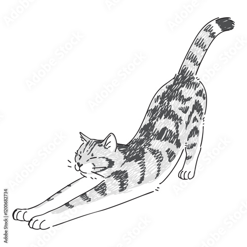 伸びをしているネコの手描きイラスト